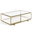 Florabella Glass Coffee Table