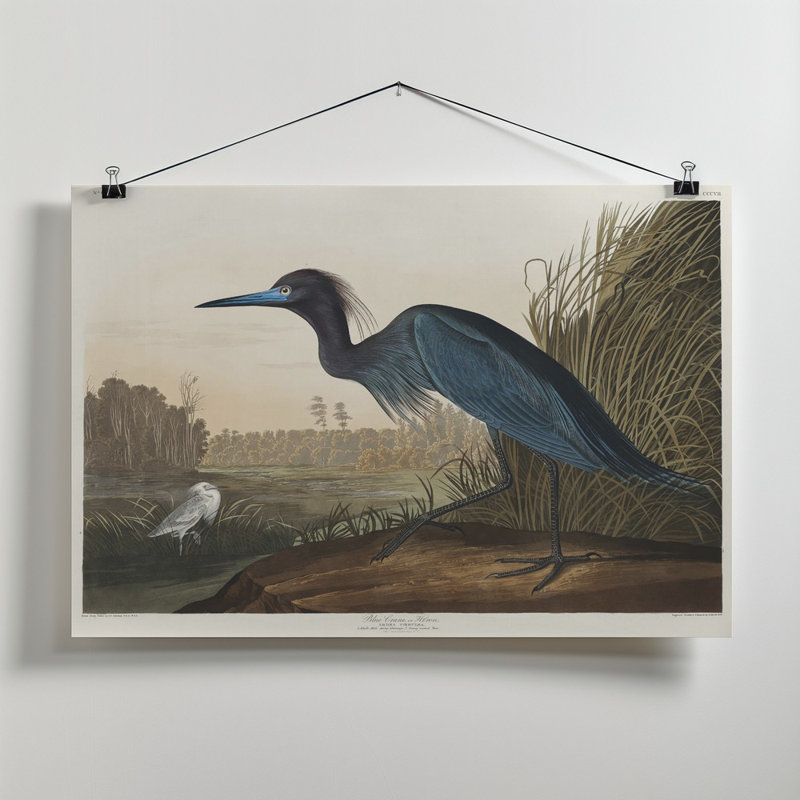 Wrapped Canvas Print, 50.8 cm H x 76.2 cm W