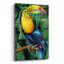 Art mural en verre épique «Toucan» par Tim Jeffs, 16 po x 24 po-117461300