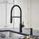 Catris Flexo Semi-Pro Pull-Down Dual-Spray Kitchen Faucet