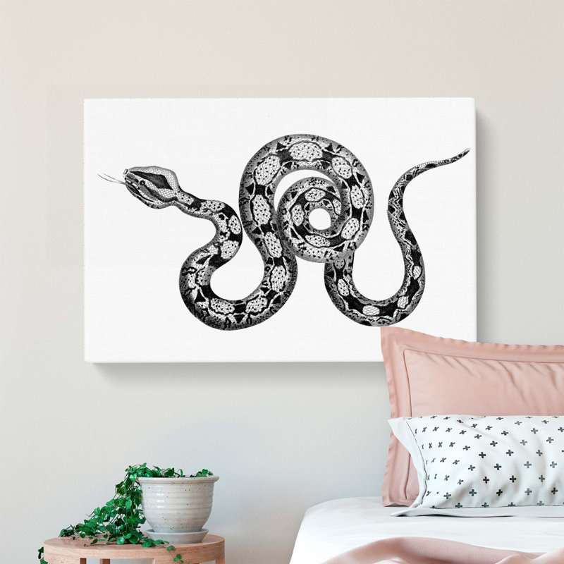 Boa Constrictor Snake in Black & White by George Shaw - Wrapped Canvas Drawing - Wrapped Canvas, 40cm H x 60cm W x 3cm D