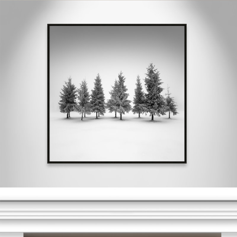 Impression d'épinette par Daniel, 41.5'' W x 41.5'' H, Framed Canvas, Espresso Floater