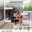 Chaise Adirondack pliante en bois massif Noyes-1085078643