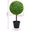 Faux Boxwood Plant in Pot-1548992526