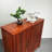 Two-Door Entryway Cabinet