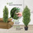 Shirlene Faux Cedar Tree Topiary in Pot-91855033