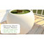 5/6/7/8/9ft Grand Artificial Olive Tree in White Planter - Large Faux Multi-Trunk Floor Plant for High Ceilings - Minimalist & Modern-1202653303