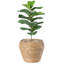 Mckee Pot Planter-1009469387