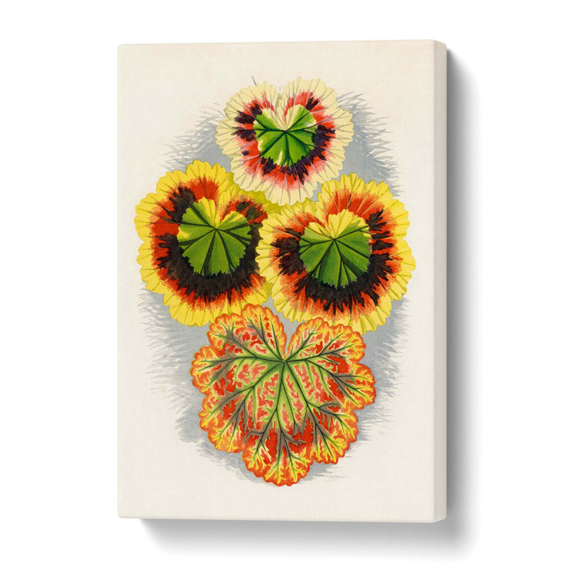Geranium Leaves by Benjamin Fawcett - Wrapped Canvas Painting, 61 cm H x 40.6 cm W