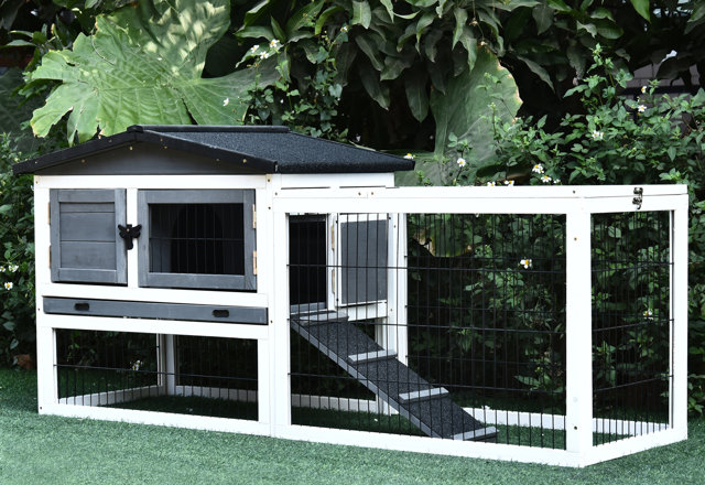 Must-Have Small Pet Cages