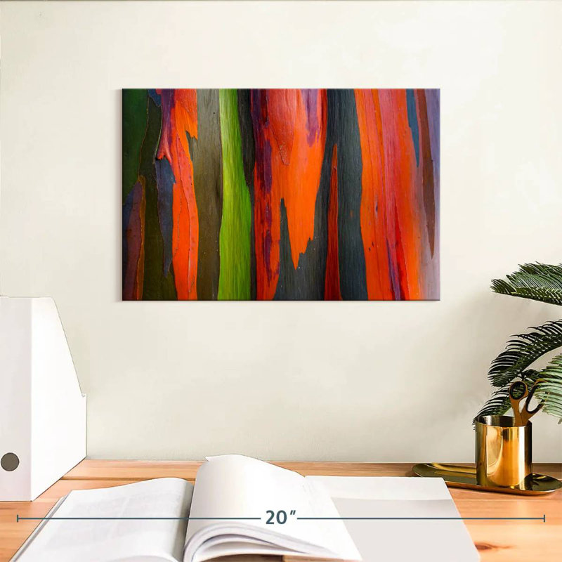Avery Rainbow Eucalyptus Bark Closeup, 8" H x 12" W