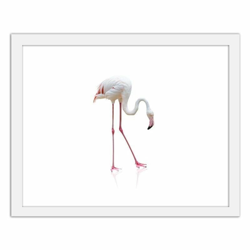 Gerahmtes Poster Einsamer Flamingo