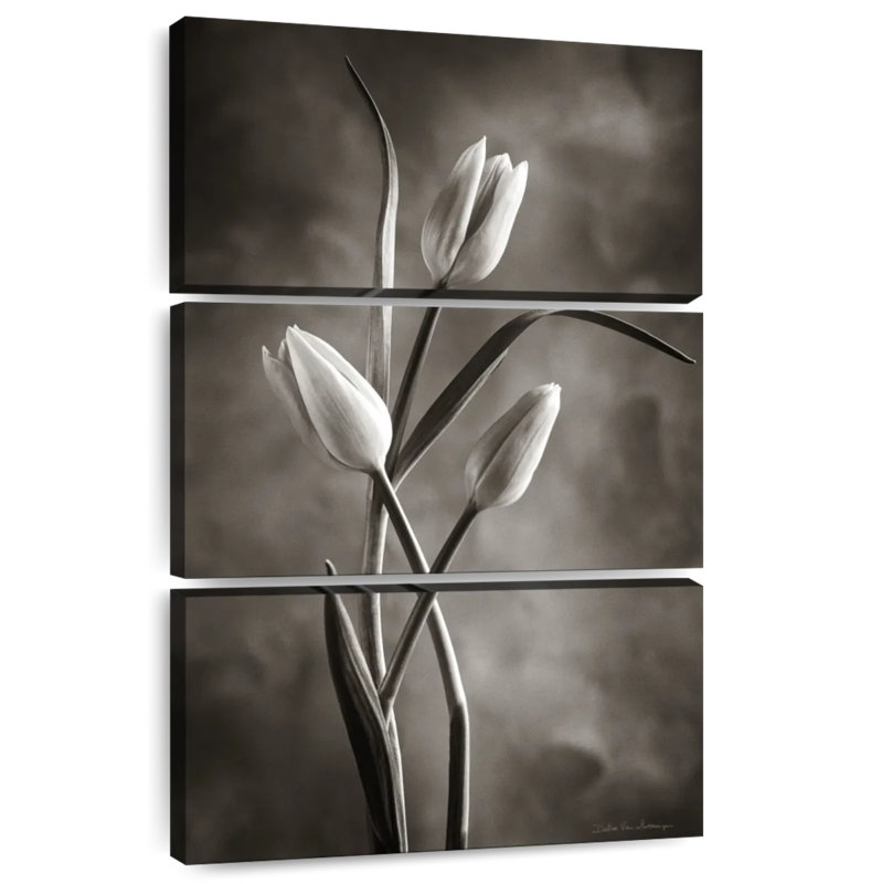 Deux tulipes Harnek II, H 38 po x l 24 po