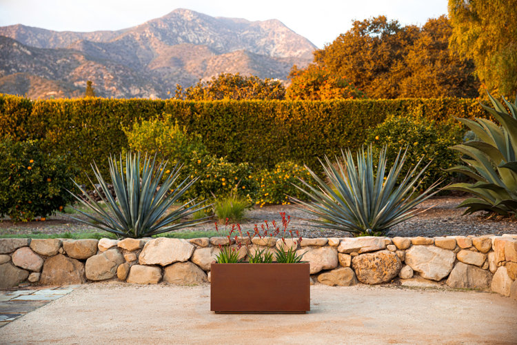 Xeriscape yard overlooking a mountain and featuring a stone patio, large agave succulents, and a boxwood hedge fence.