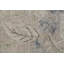 DAISY 9096-845 BEIGE / SAGE-112882527