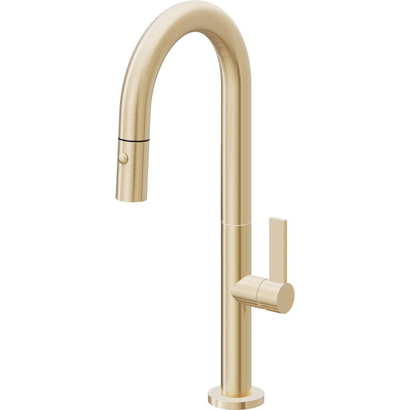 Poetto Pull-Down Prep/Bar Faucet, Polished Brass, Flat Blade