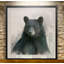 Ours Rainsoft - reproduction de cadre photo sur papier-836128985