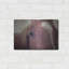 «Dew Lash» par Debra Van Swearingen-1985923960