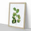Hazelnut Tree Branch by Pierre-Joseph Redoute - Picture Frame Painting Print-55580030-55580034