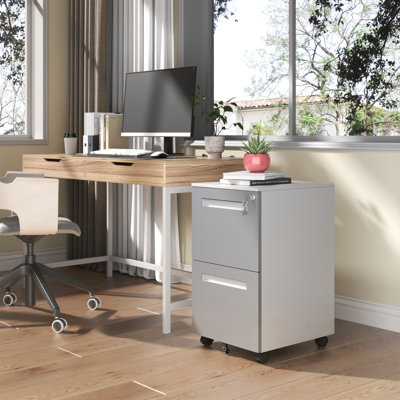 Metal Mobile File Cabinet with 2 Drawers