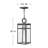 1 -Bulb 19" H Outdoor Hanging Lantern By Lisa McDennon-717187920