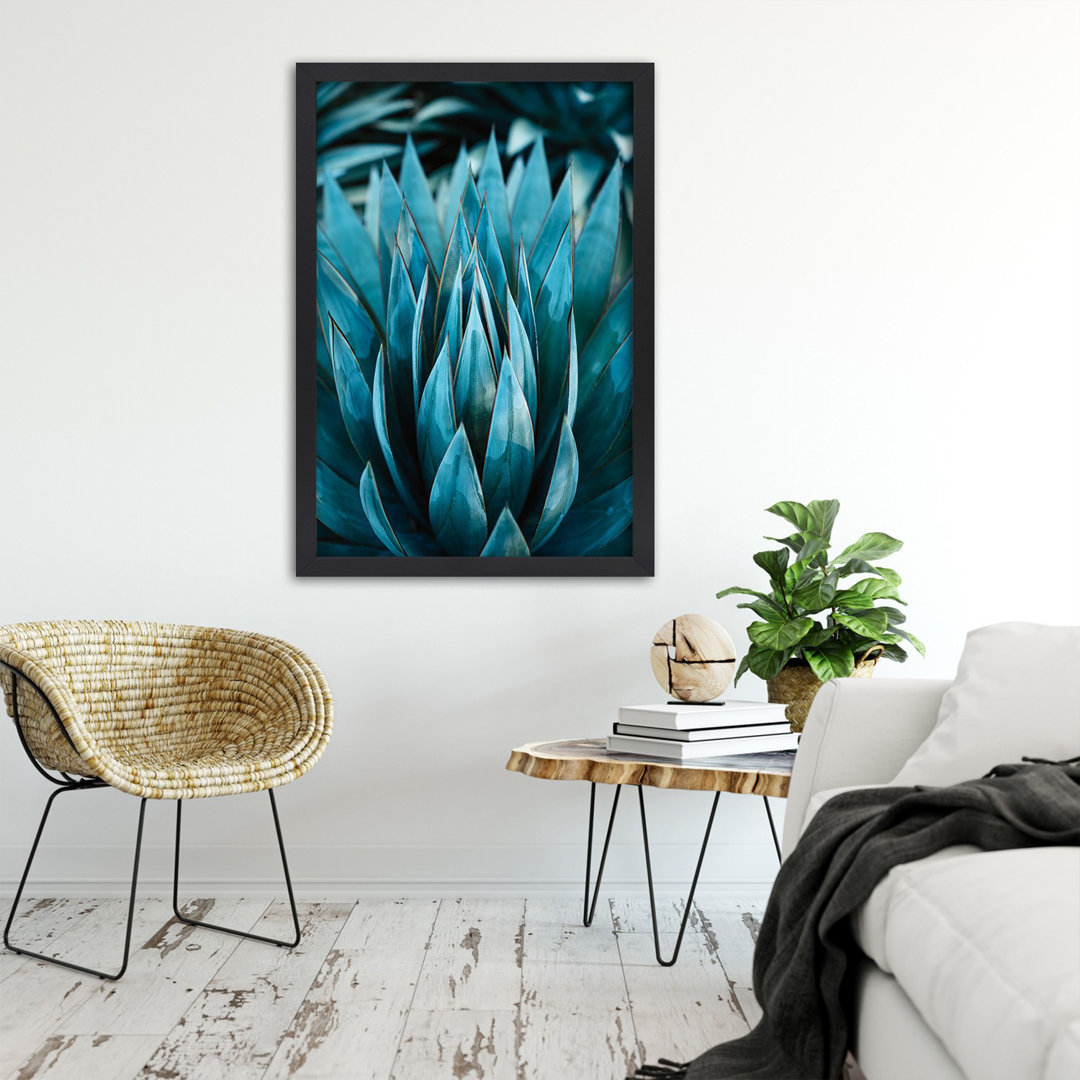 Gerahmtes Poster Exotic Succulent