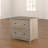 Ariza 33.3'' Wide 2 -Drawer File Cabinet-40574281