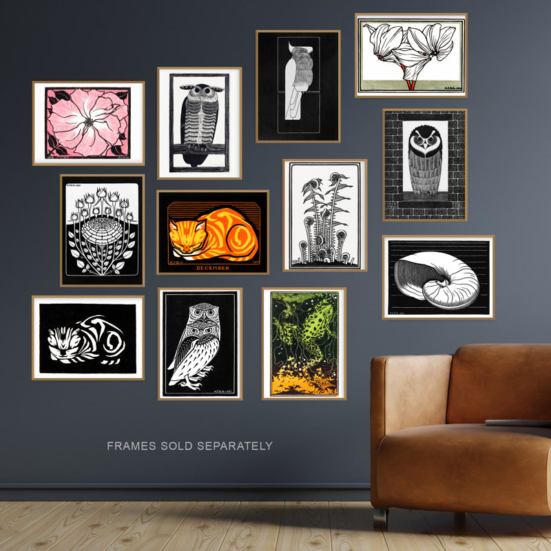 The Julie De Graag Collection Owl Cat Frog Fern Plants Animals 12-Piece Set Unframed Wall Art Prints Bathroom Bedroom Art Nouveau Illustrations