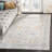Kashief Performance Oriental Rug-22735329