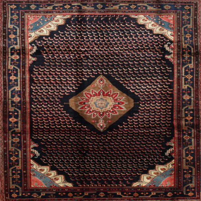 Hennadzy Performance Oriental Indoor Rug