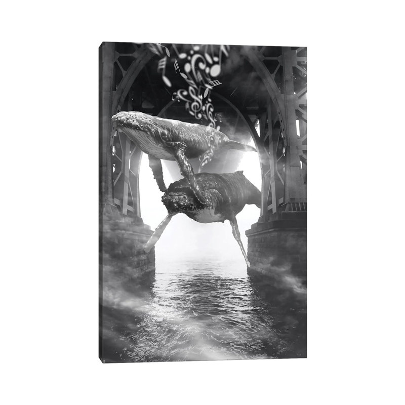 Hide And Seek Whale Music by David Loblaw - Wrapped Canvas Print, 20.32 cm H x 30.48 cm W