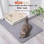 Plastic Litter Mat-100537374
