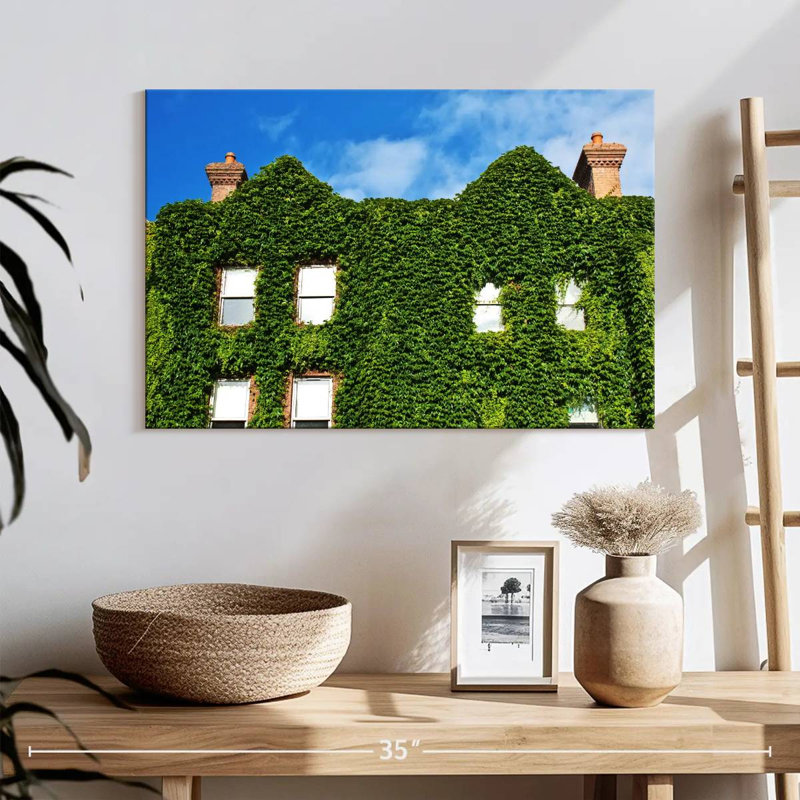 Maison couverte de plantes, H 16 po x l 24 po