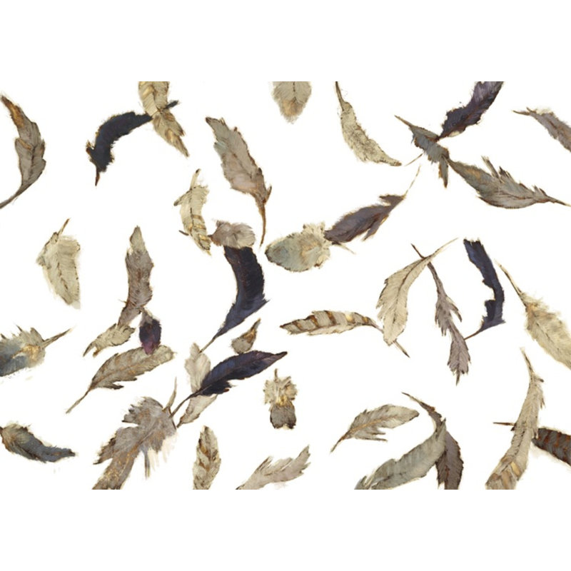 Falling Feathers White 2 Print by Atkinson, Sarah, White Single Picture Framed, 36'' H x 48'' W