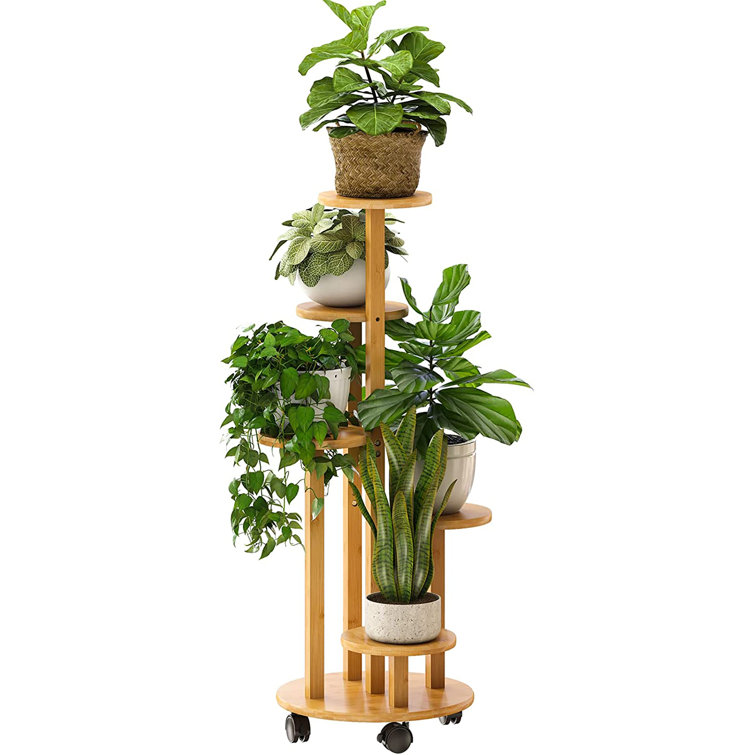 Oval Corner Plant Stand