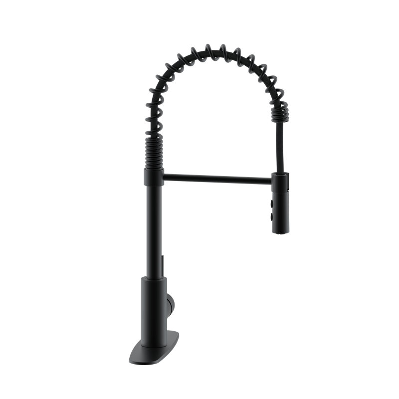 Westbrass Pull Down Spray Kitchen Faucet, Matte Black