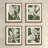 Translucent Stem Prints, Set of 4