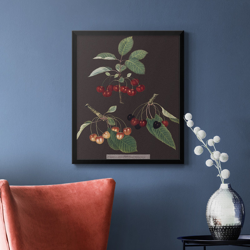 Toile encadrée de qualité supérieure Brookshaw Cherries, Noir, H 24 po x l 20 po