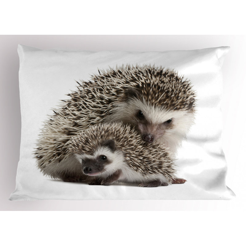 Children Polyester Sham Set, King