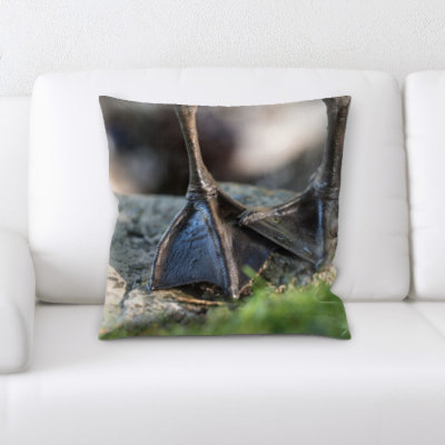 Coussin oiseau