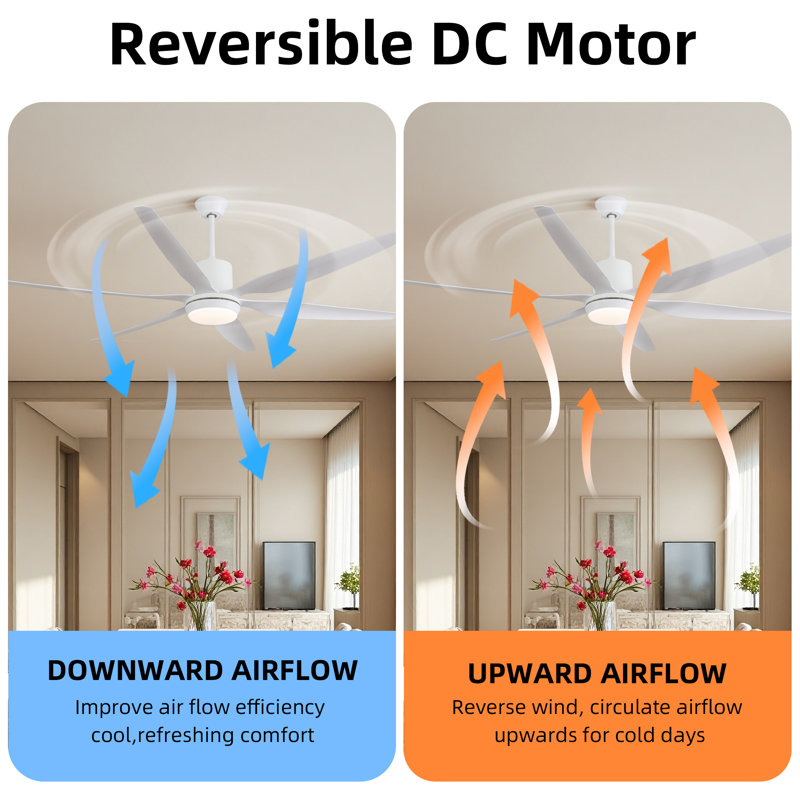 66" Modern Ceiling Fan with LED Light, 6 ABS Blades, DC Motor, Acrylic Shade, Remote Control for Living Room, Dining Room or Kitchen Eating Areas