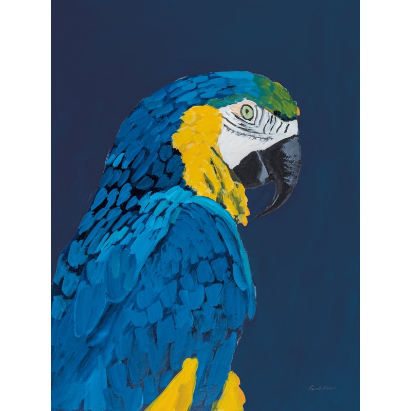 " Blue And Gold Macaw ", 40" H x 30" W x 1.25" D, Yes, Silver Framed Print