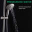 Pomme de douche double Hotel Spa-50184870