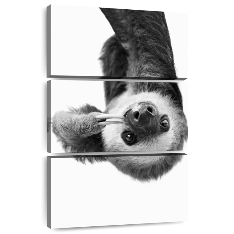 Brampt Sloth BW, 32'' H x 20'' W