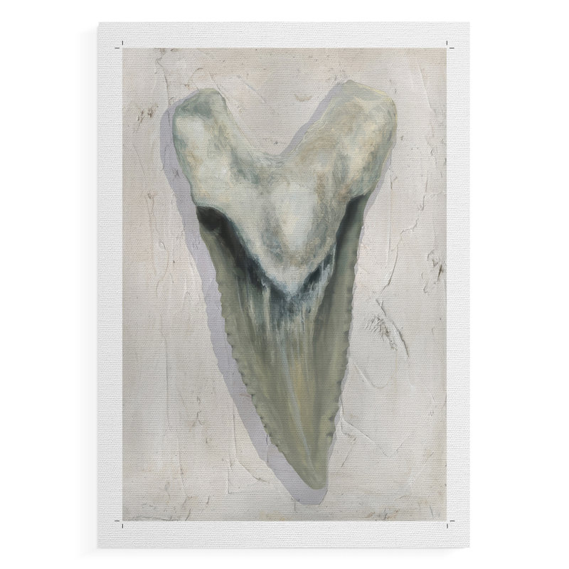 Watercolor Sharks Tooth II -Canvas Print Only - NOT FRAMED, 18" H x 12" W