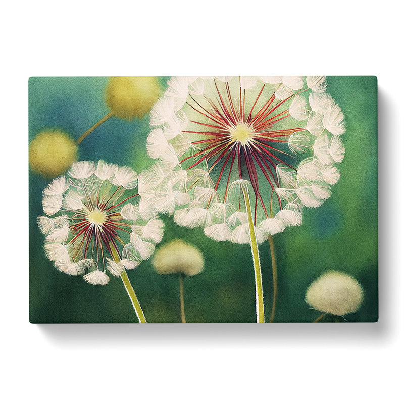 Glowing Dandelion Flowers - Wrapped Canvas, 35cm H x 50cm W x 3cm D