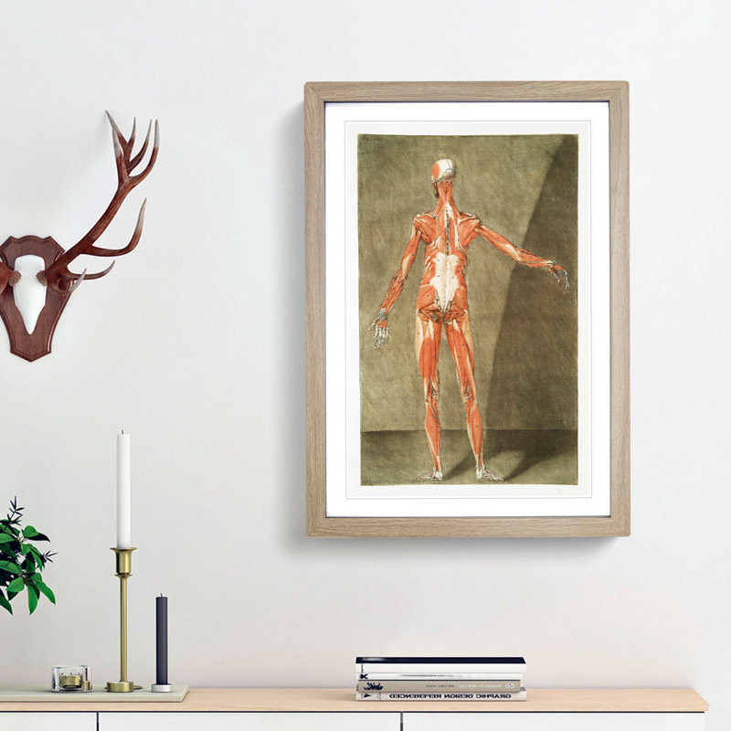 Anatomical Illustration of a Male No. 6 by Gautier-Dagoty - Picture Frame Painting Print, 87cm H x 62cm W x 2cm D, Oak Framed
