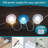 Nautical Theme Fairy Lights, Beach Ocean Shell Decorative String Lights,10 Ft 40 Leds, Battery Operated & Usb Plug-in With Remote And Timer For Party Indoor Tent Wedding Bedroom