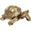 Turtle Large Decorative Figurine-39125163