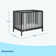 Teddi 4-in-1 Mini Convertible Crib with Mattress